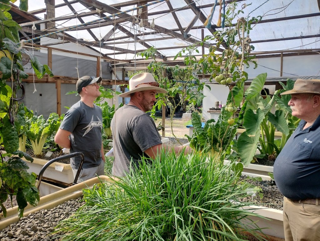 Murray Hallam showing visitors around the greenhouse media beds and tomato vines
