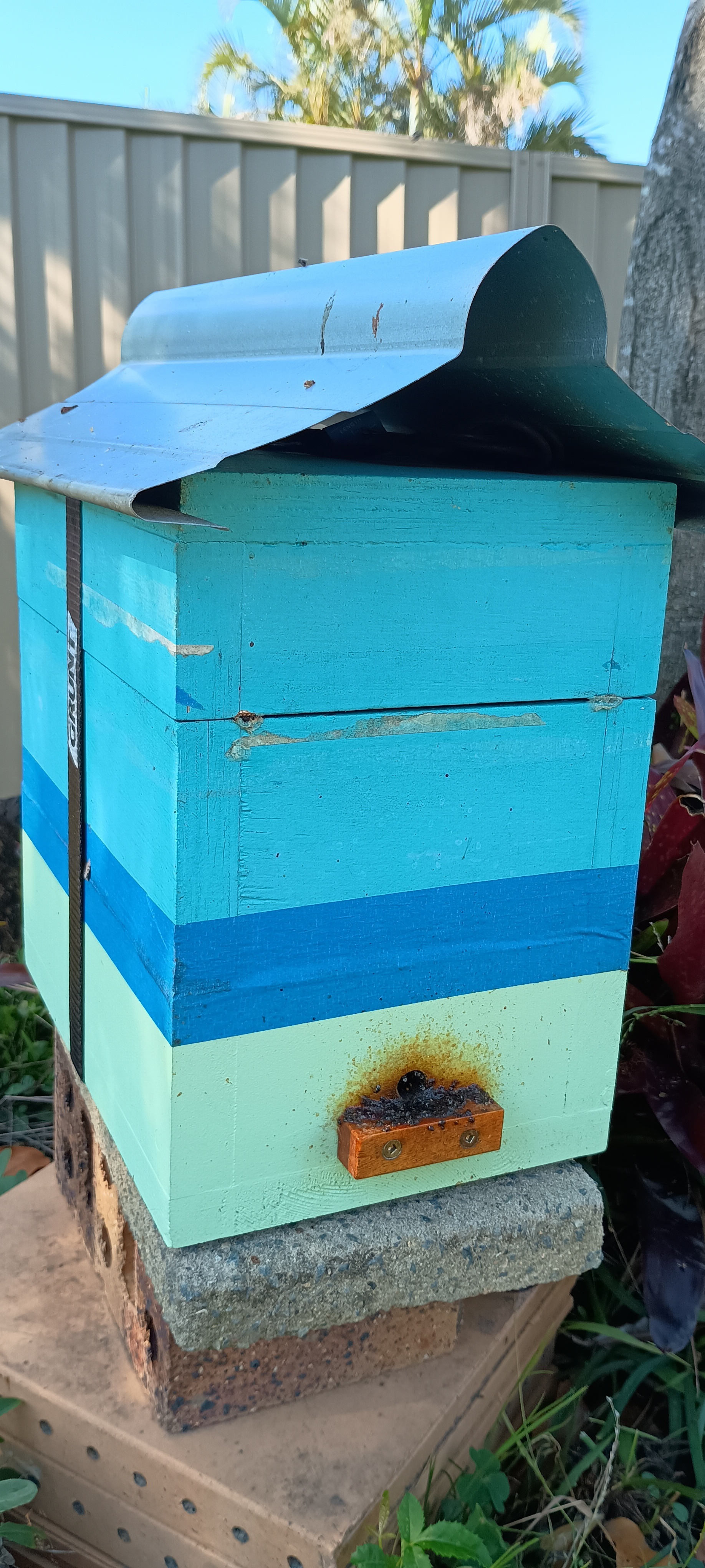 Native stingless bee hive box painted in shades of teal and blue, with a small wooden entrance block, sitting on bricks in the garden