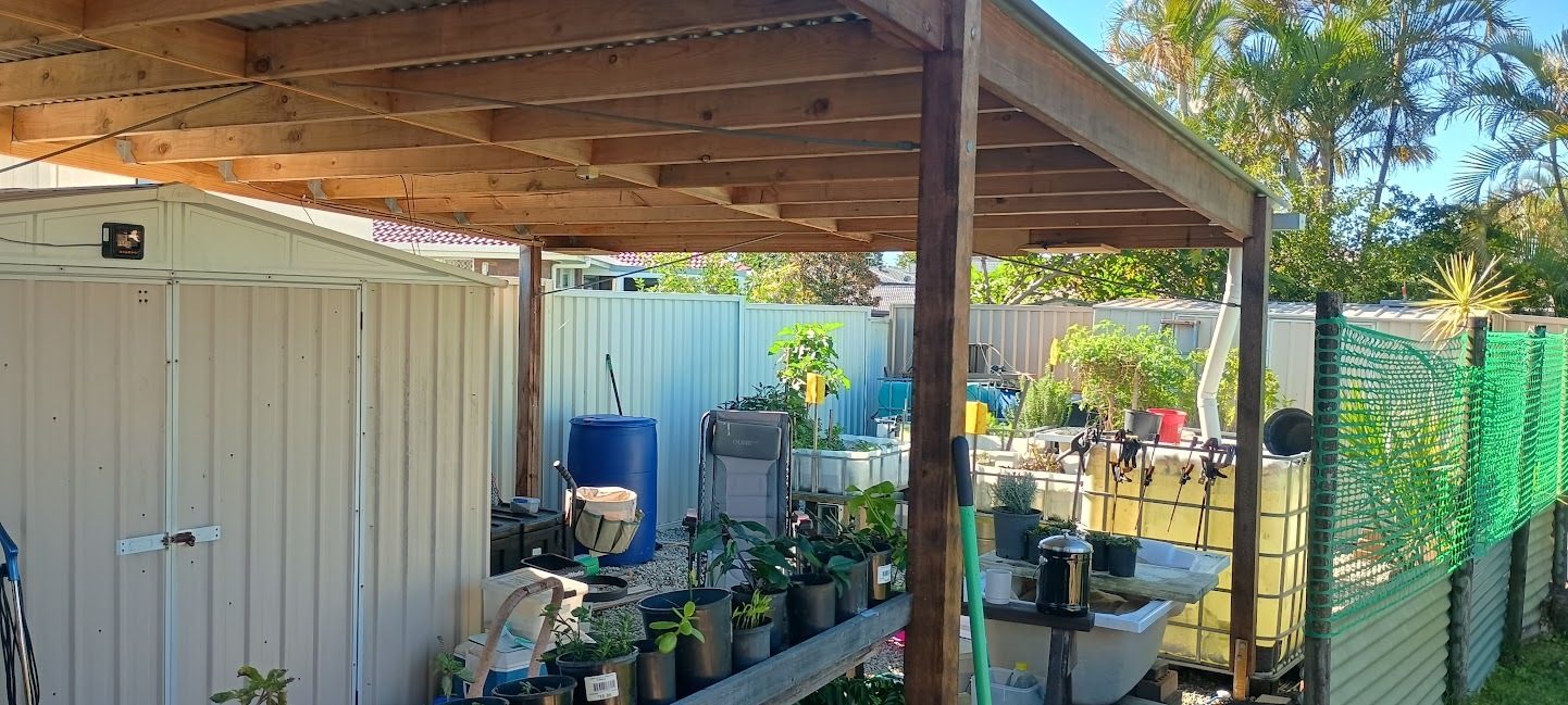 Shanty interior in use: timber frame overhead, potted plants on shelving, IBC tank to the right, garden shed alongside