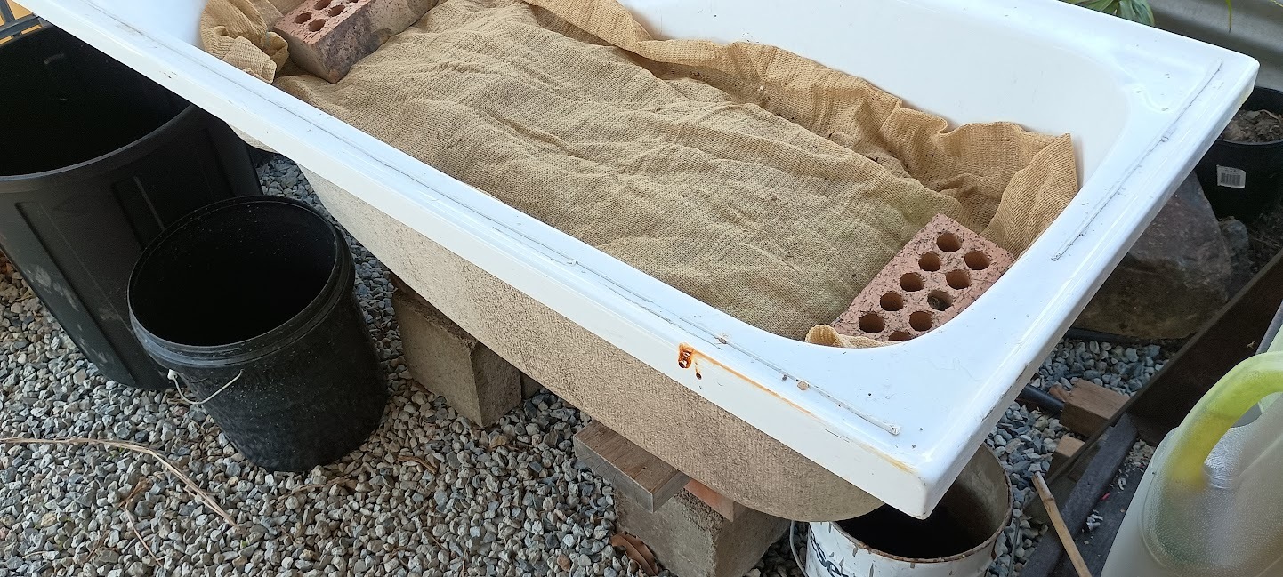 Repurposed bathtub on brick supports used as a worm farm on the gravel floor of the shanty, lined with hessian and with buckets alongside for leachate collection